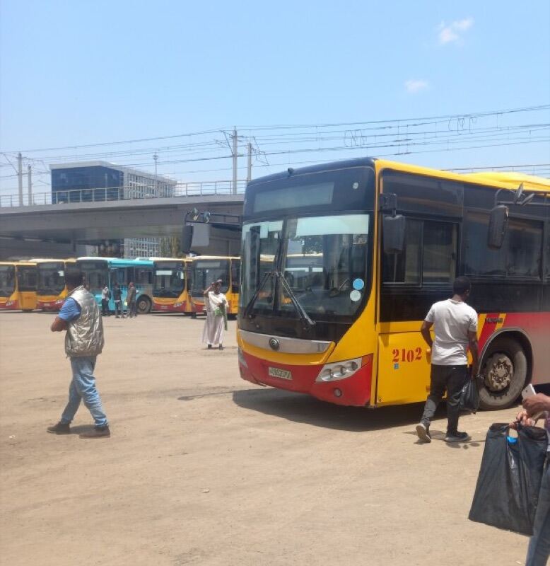 City buses